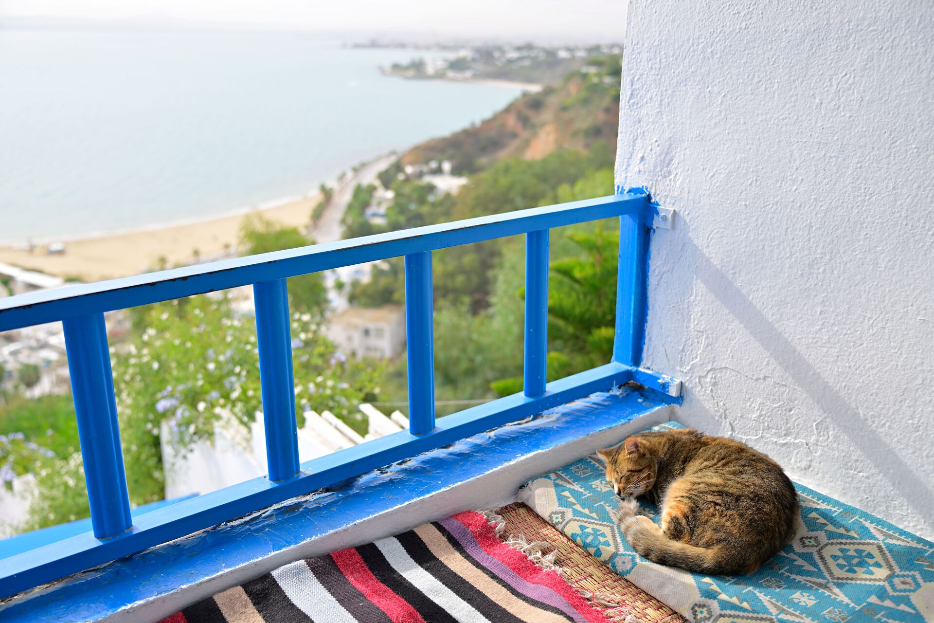 Photography Composition Basics: A Beginner's Guide to Framing, Angles and Better Photos