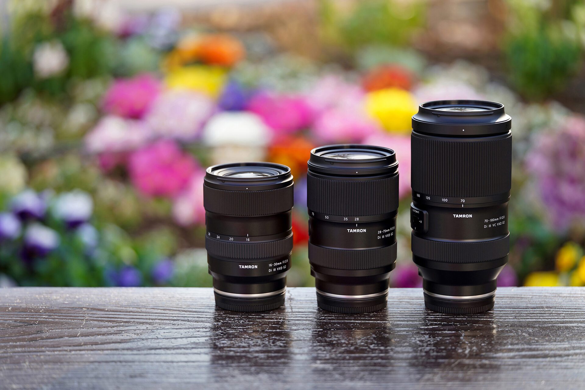 Trinity Lenses: The Complete Guide for Photographers in South Africa