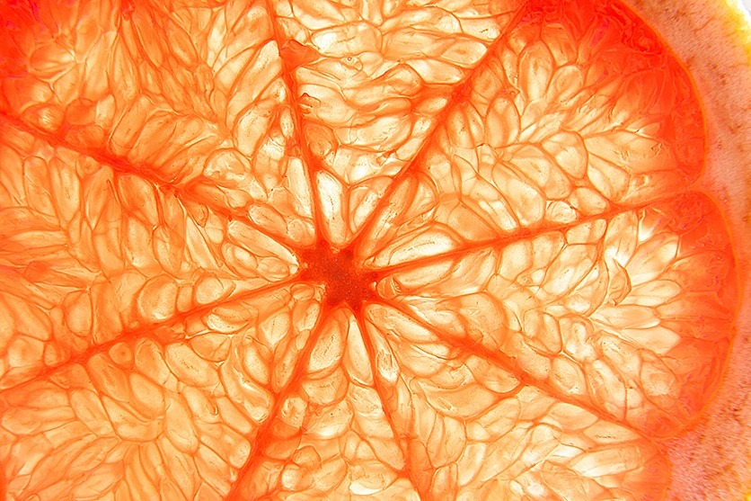 What is close-up photography, and how does macro shooting differ? – shot with Tamron 18-300mm F3.5-6.3 (Model B061)
