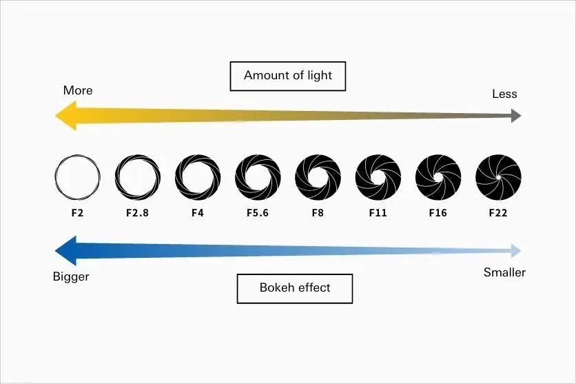 What Is Aperture in Photography?