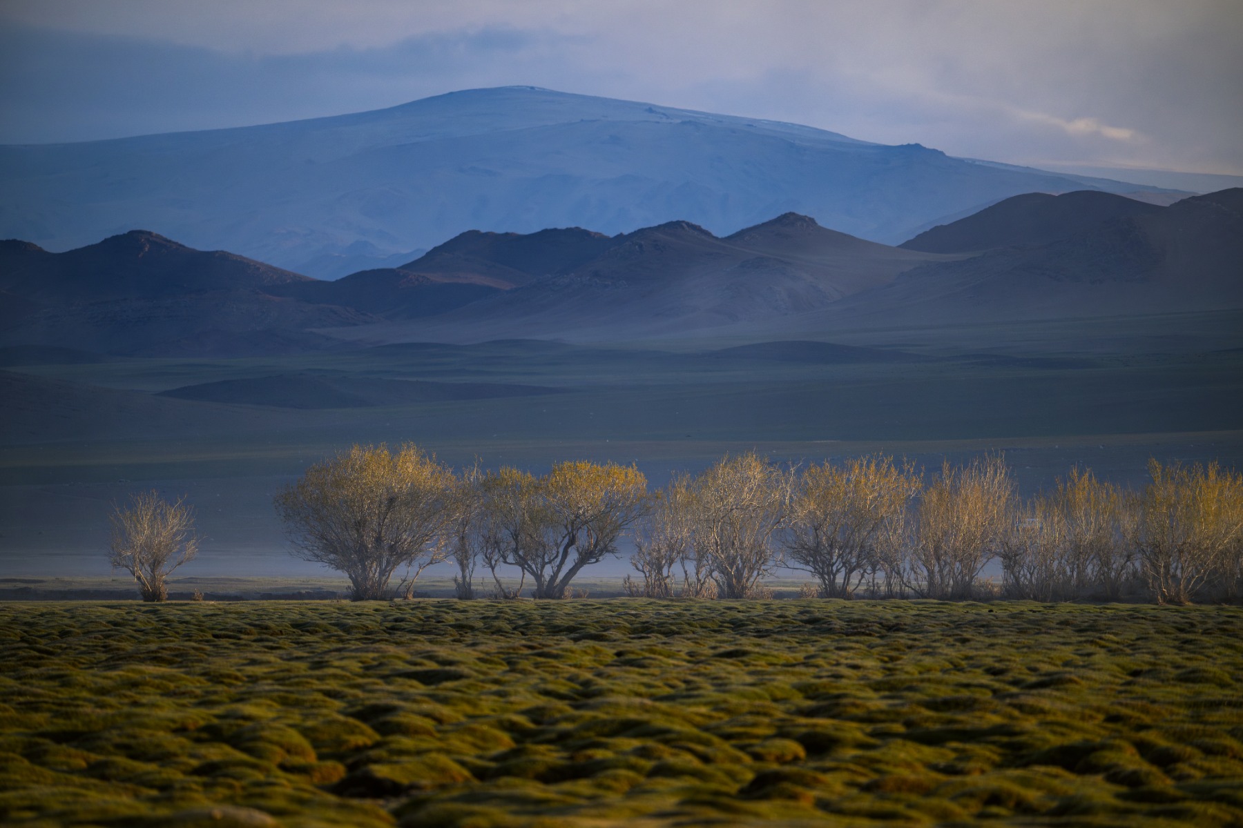 Landscapes: Compressing the Drakensberg and the Cape