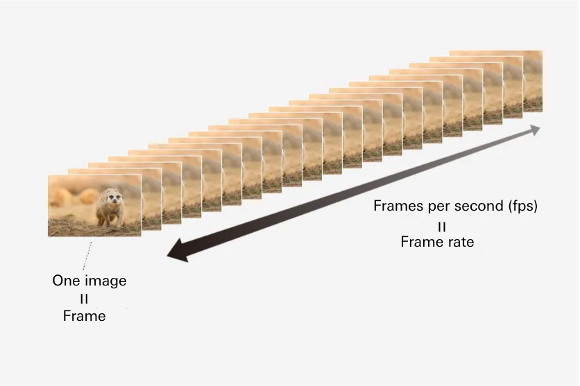 What is frame rate, and which one should you shoot?