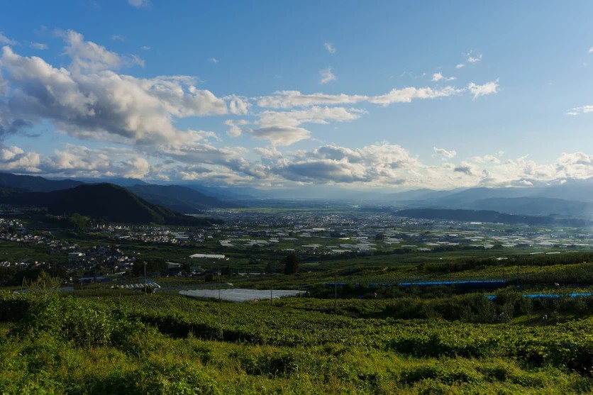 Camera Focus Settings for Landscape Photography