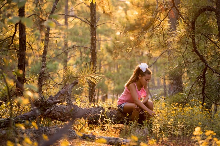Using backlighting for warm magic hour light – shot with Tamron 70-300mm F4.5-6.3 (Model A047)