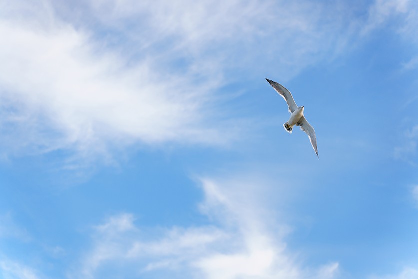 Reducing exposure to protect highlights and hold colour in the sky – shot with Tamron 28-75mm F2.8 G2 (Model A063)