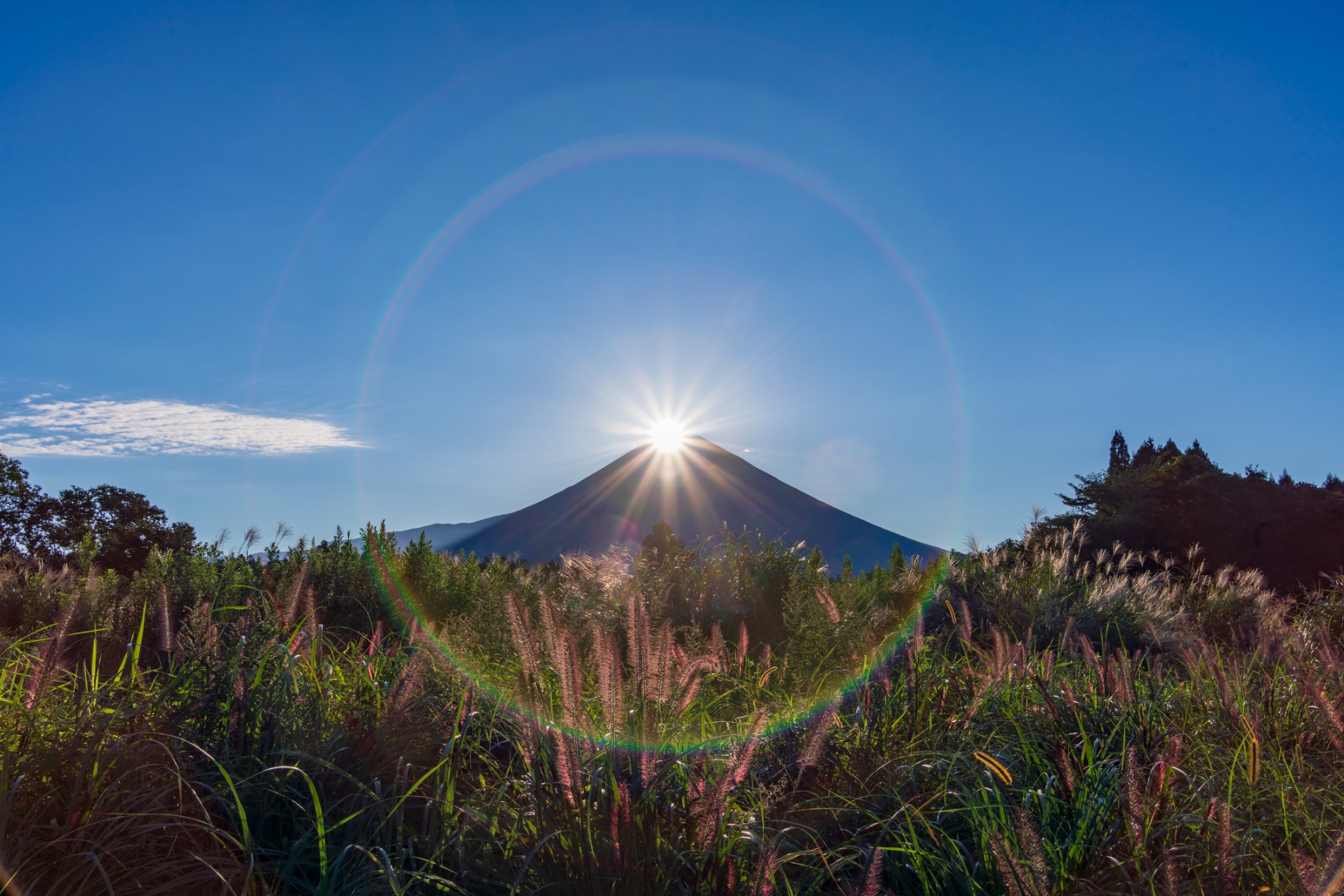 A landscape using ghosting – What is lens flare? Ghosting, blown-out highlights, crushed shadows and vignetting explained