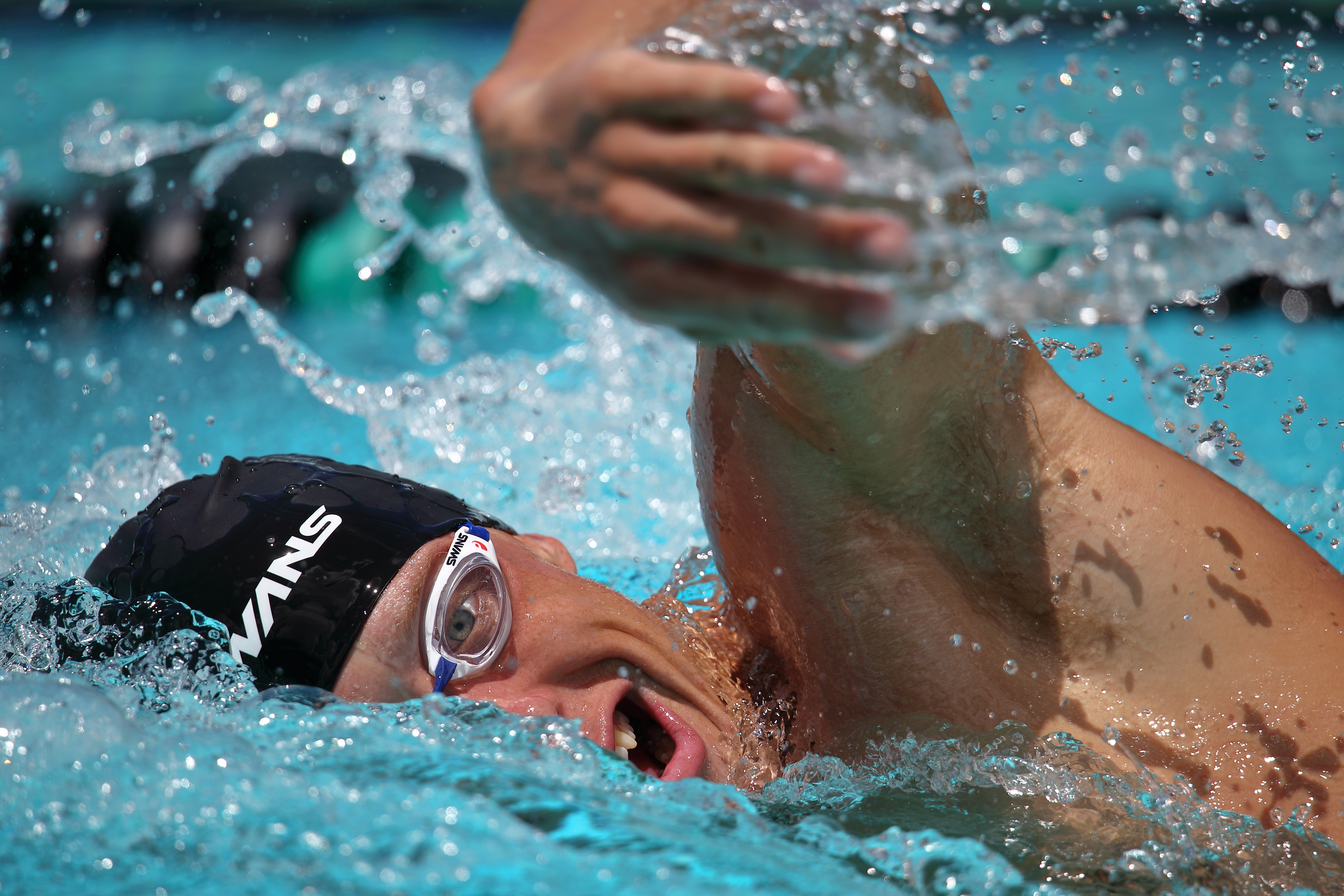 7) Autofocus Performance: A Key Factor When Using Canon EF Lenses for Wildlife and Sport