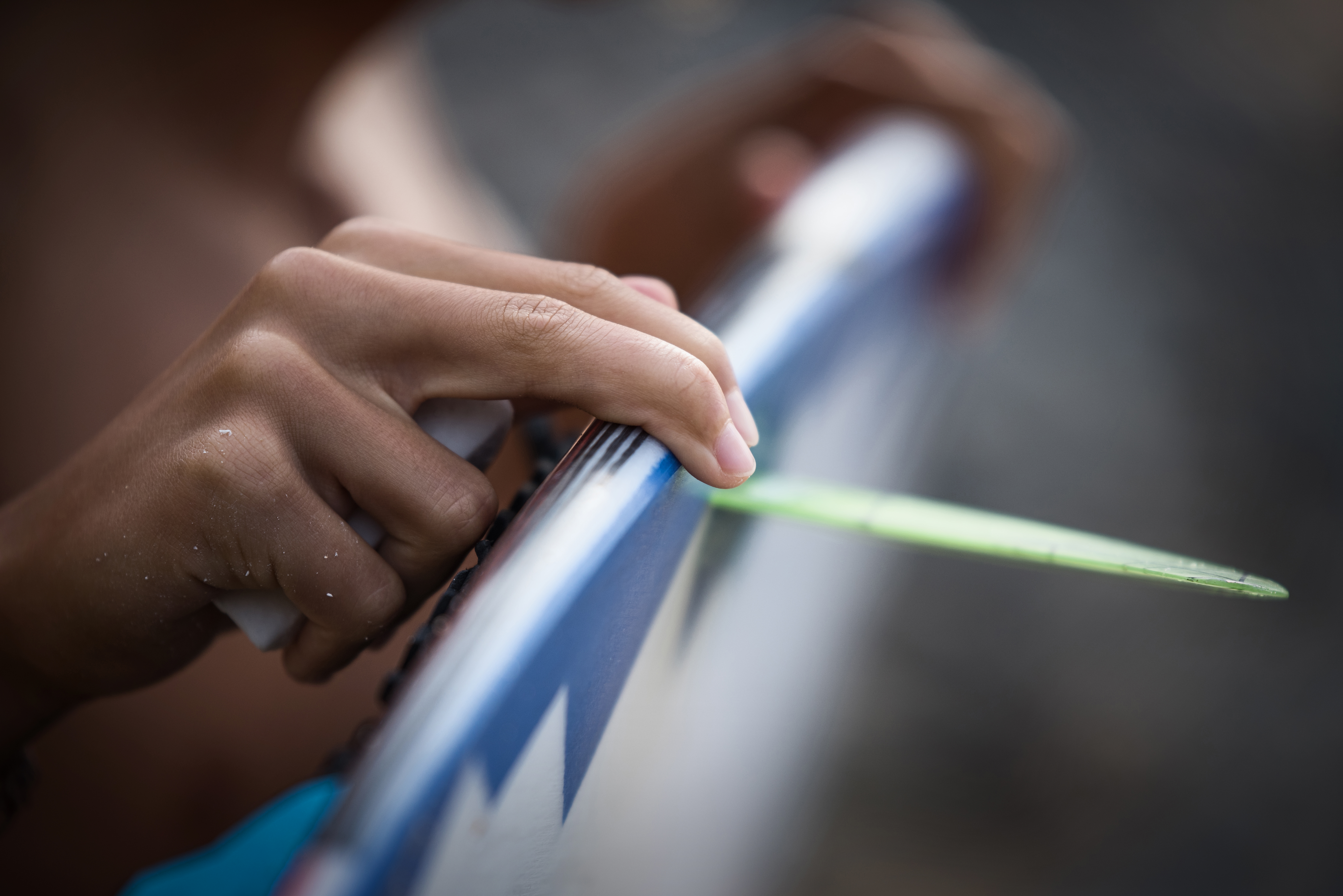 9) Minimum Focus Distance in Canon EF Lenses: Getting Closer to South Africa's Natural Detail