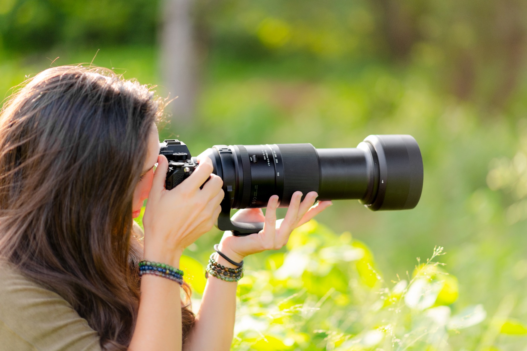 Lenses for bird photography – Bird Photography in South Africa: How to Choose a Lens and Take Better Photos