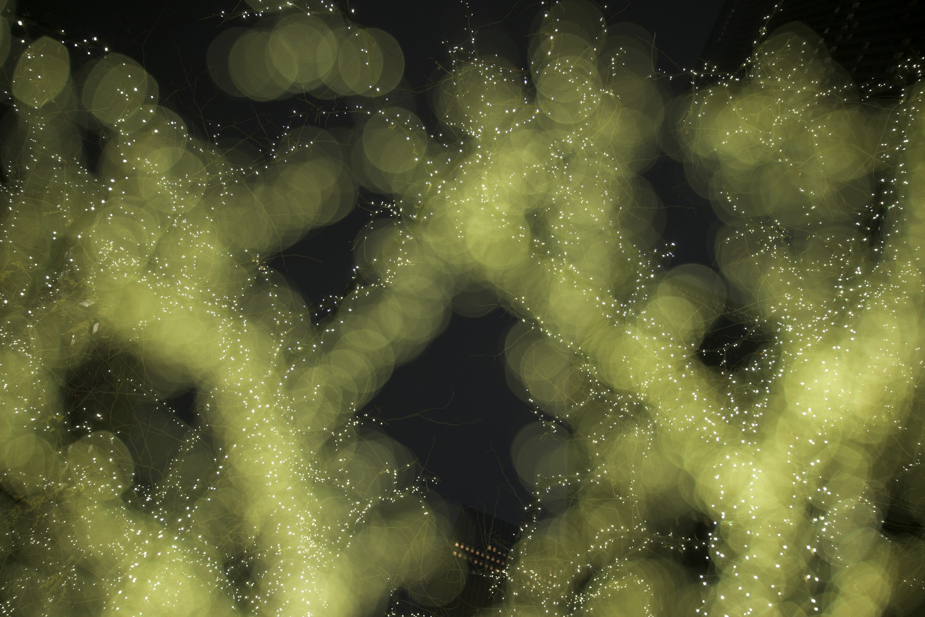 Ball bokeh from festive lights – shot with Tamron 28-75mm F2.8 G2 (Model A063)