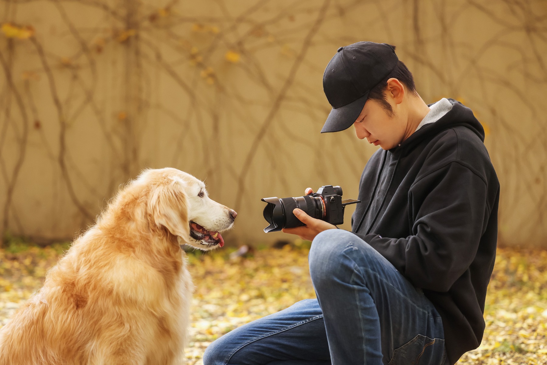 Portability – How to Photograph Dogs and Cats: Settings, Light and Lens Choices for Better Pet Photos