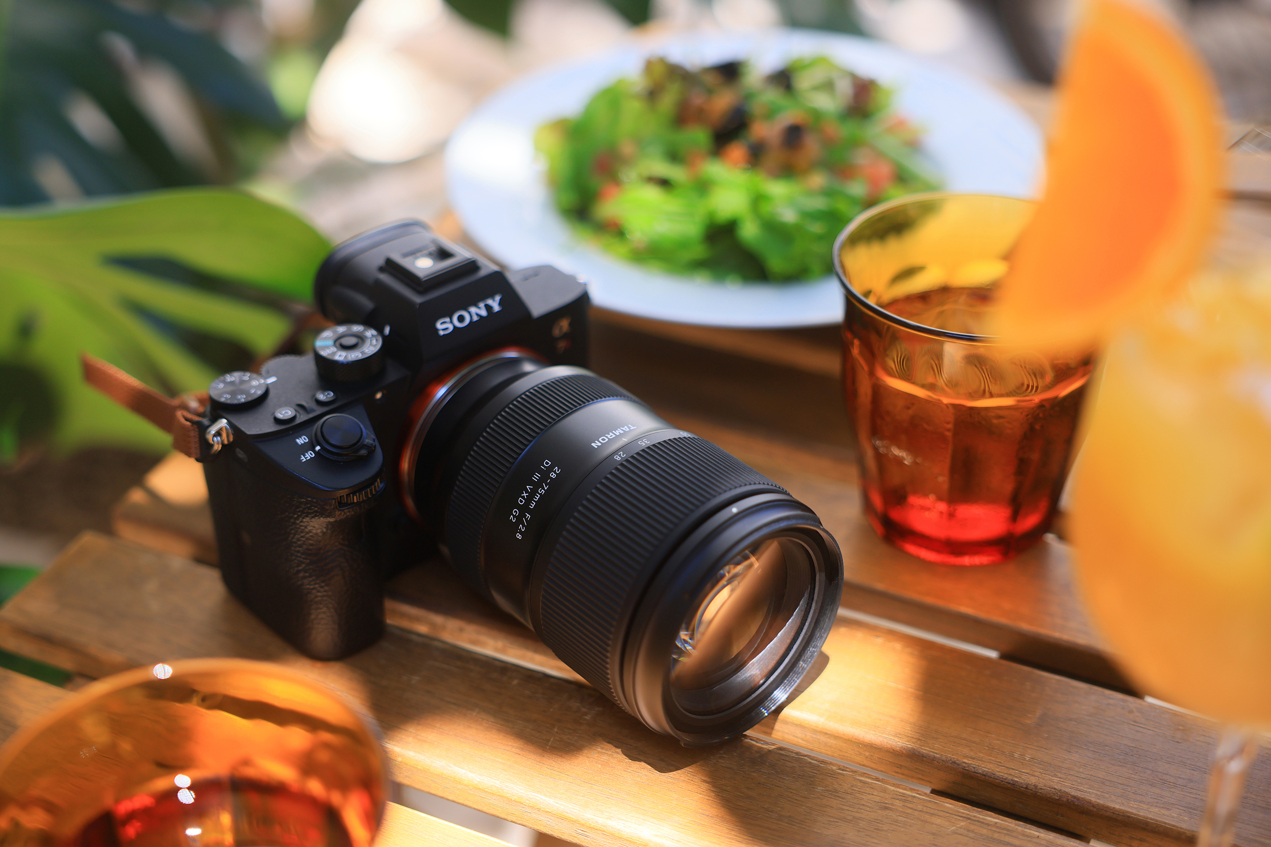 Mirrorless Camera Types for Travel and Everyday Photography