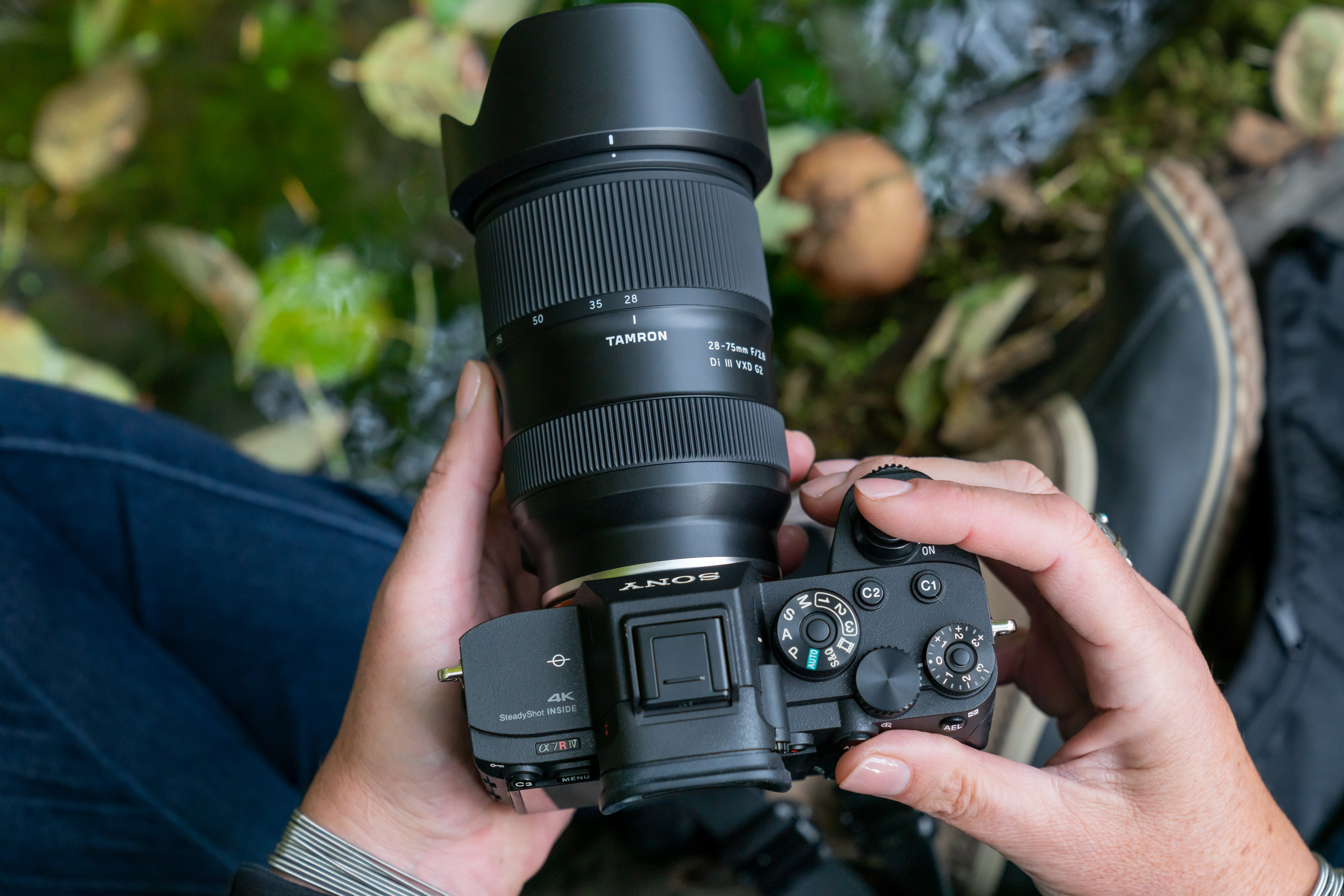 Easy-to-Use Camera Types for Everyday Photography