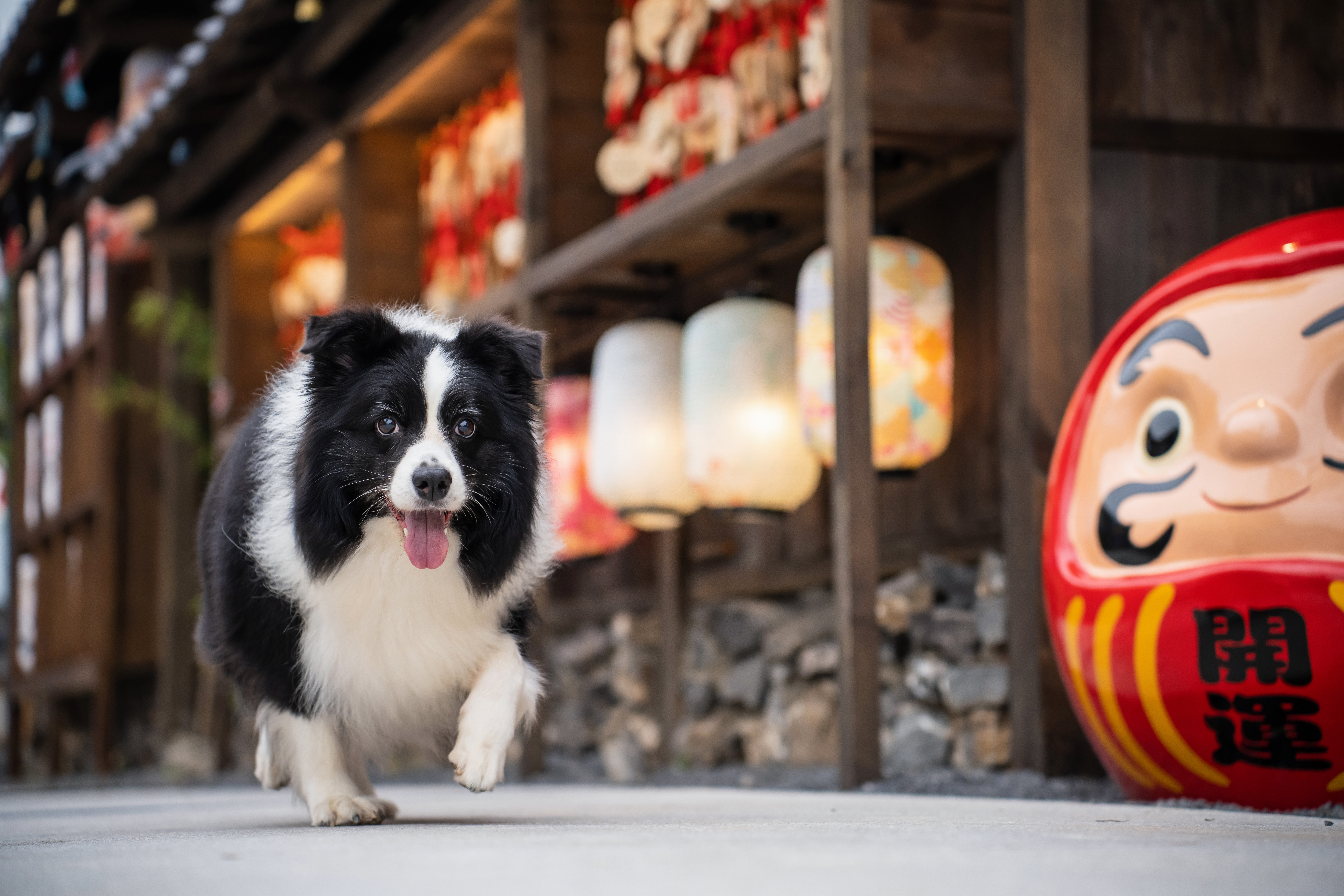 Camera Types with Advanced Autofocus for Action Photography