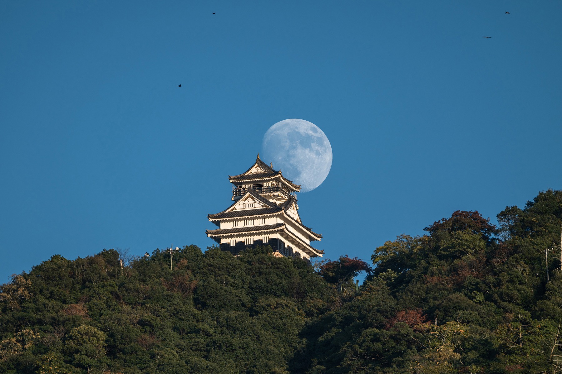 Combining the Moon with Natural Scenery and Urban Landmarks