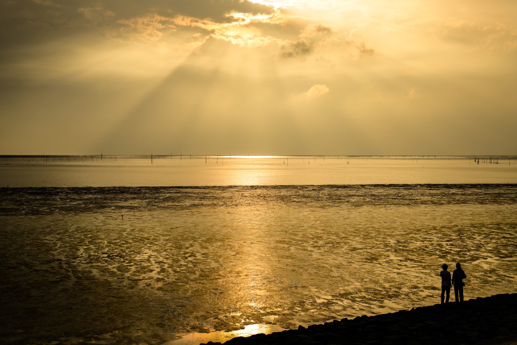 Shooting Rays of Light – How to Use DSLR for Beginners: Camera Basics to Take Beautiful Photos