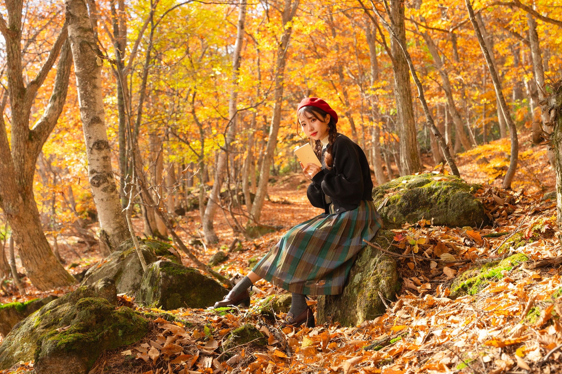 Strongly coloured foliage, where the white balance setting decides how warm the scene reads – shot with Tamron 17-50mm F4 (Model A068)
