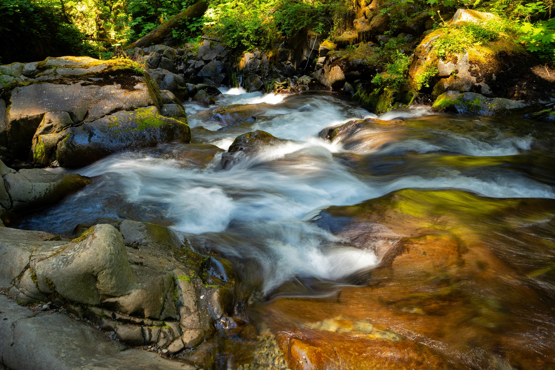 Using a slow shutter speed for movement – shot with Tamron 17-50mm F4 (Model A068)