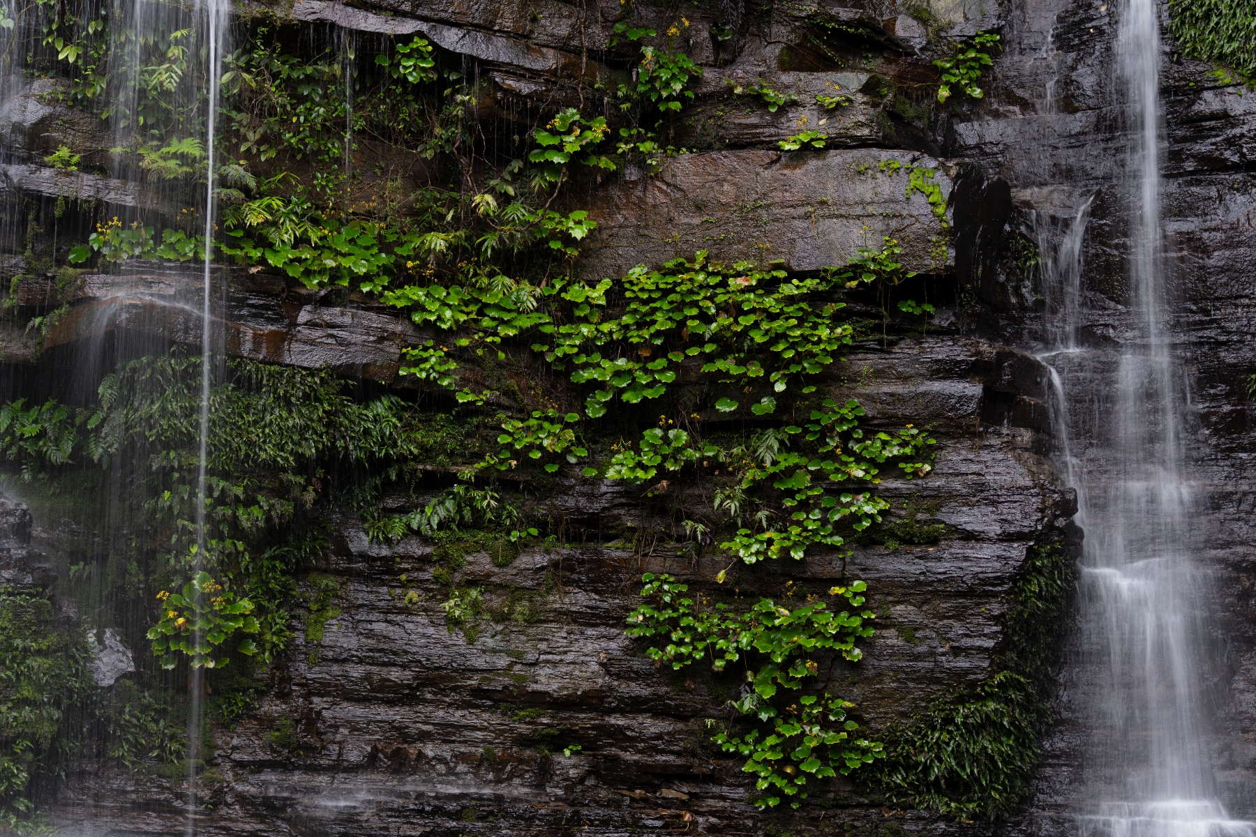 Natural textures – shot with Tamron 50-300mm F4.5-6.3 (Model A069)