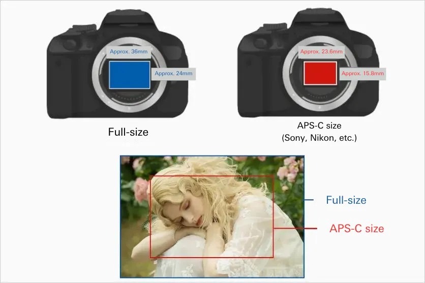 Understanding Camera Types and Sensor Sizes