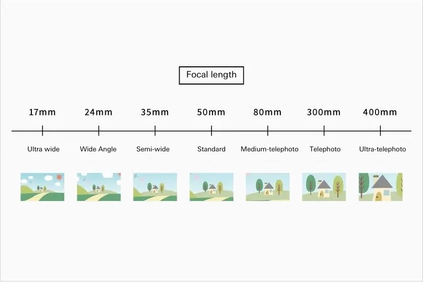 What Is a Telephoto Lens? Four Defining Characteristics