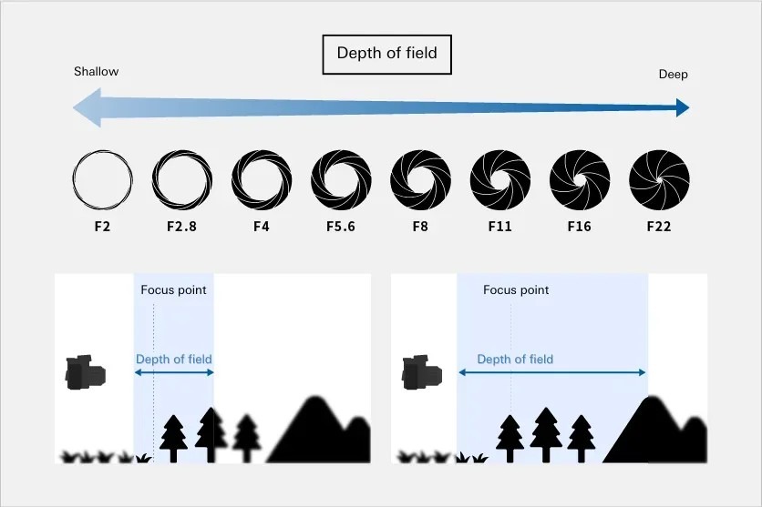 Definition of Depth of Field – What Is Depth of Field? A South African Photographer’s Guide to Sharper Images and Better Bokeh