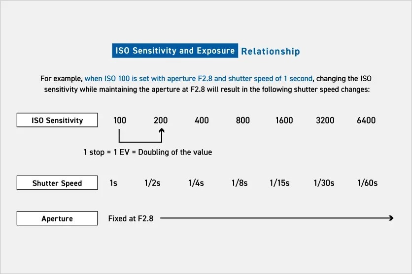 What Is ISO Sensitivity? A Beginner-Friendly Explanation