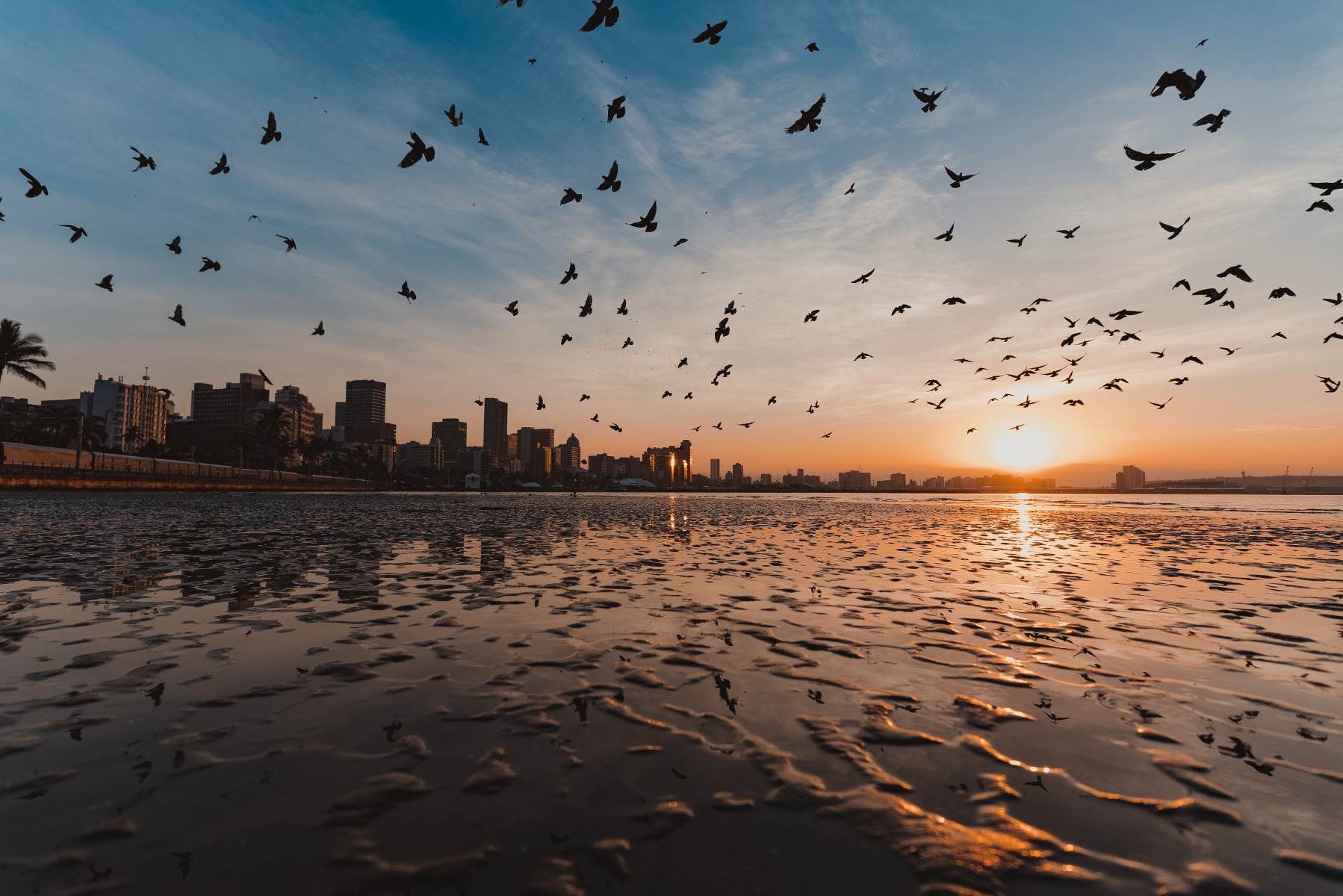 Get creative with composition and the direction of light (photo 2)