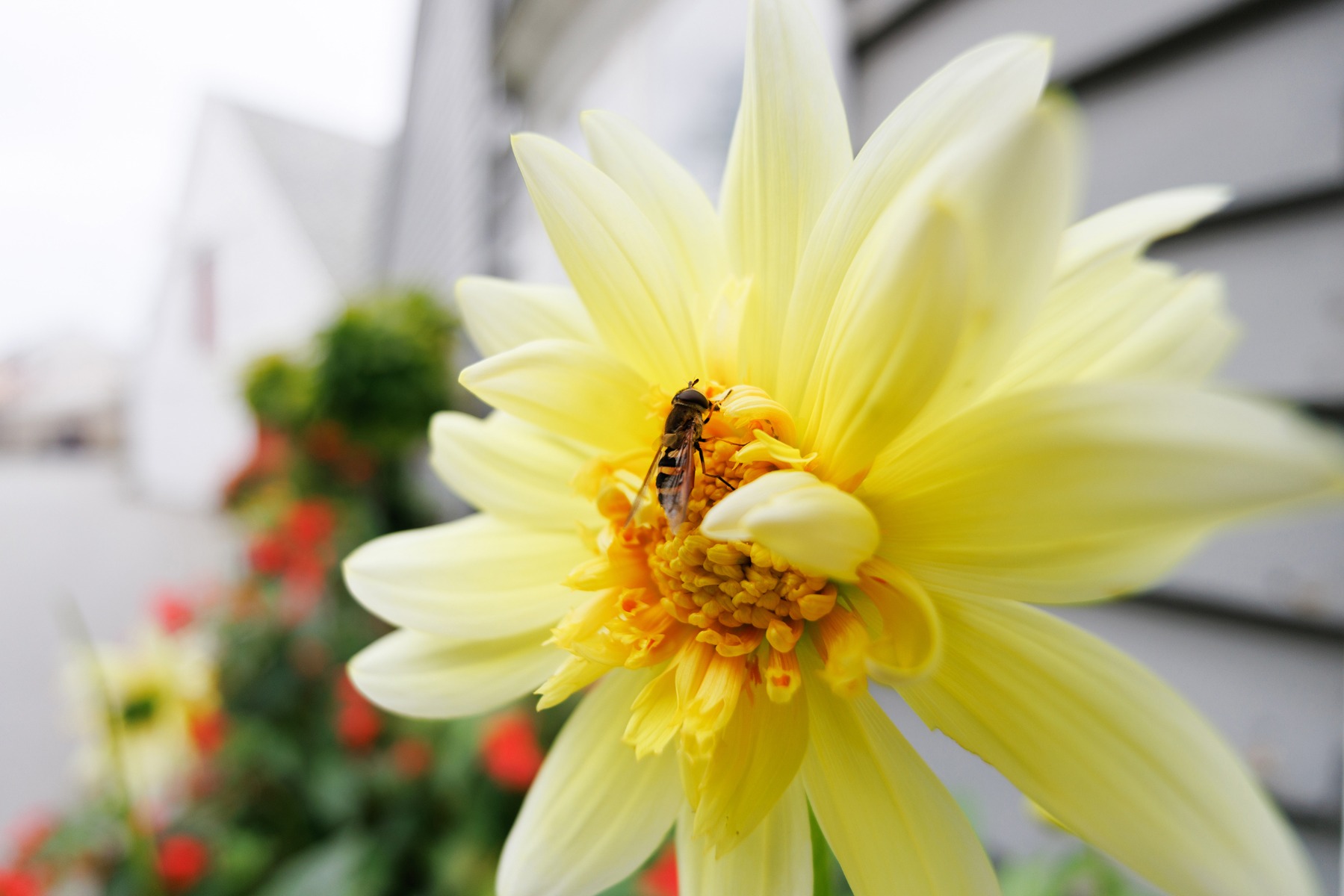 Optical rendering – shot with Tamron 11-20mm F2.8 (Model B060)