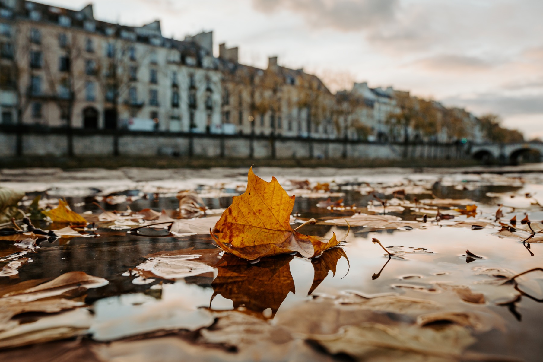 Reflection Shots: Cloudy Day Fall Photography at Dams and Lagoons
