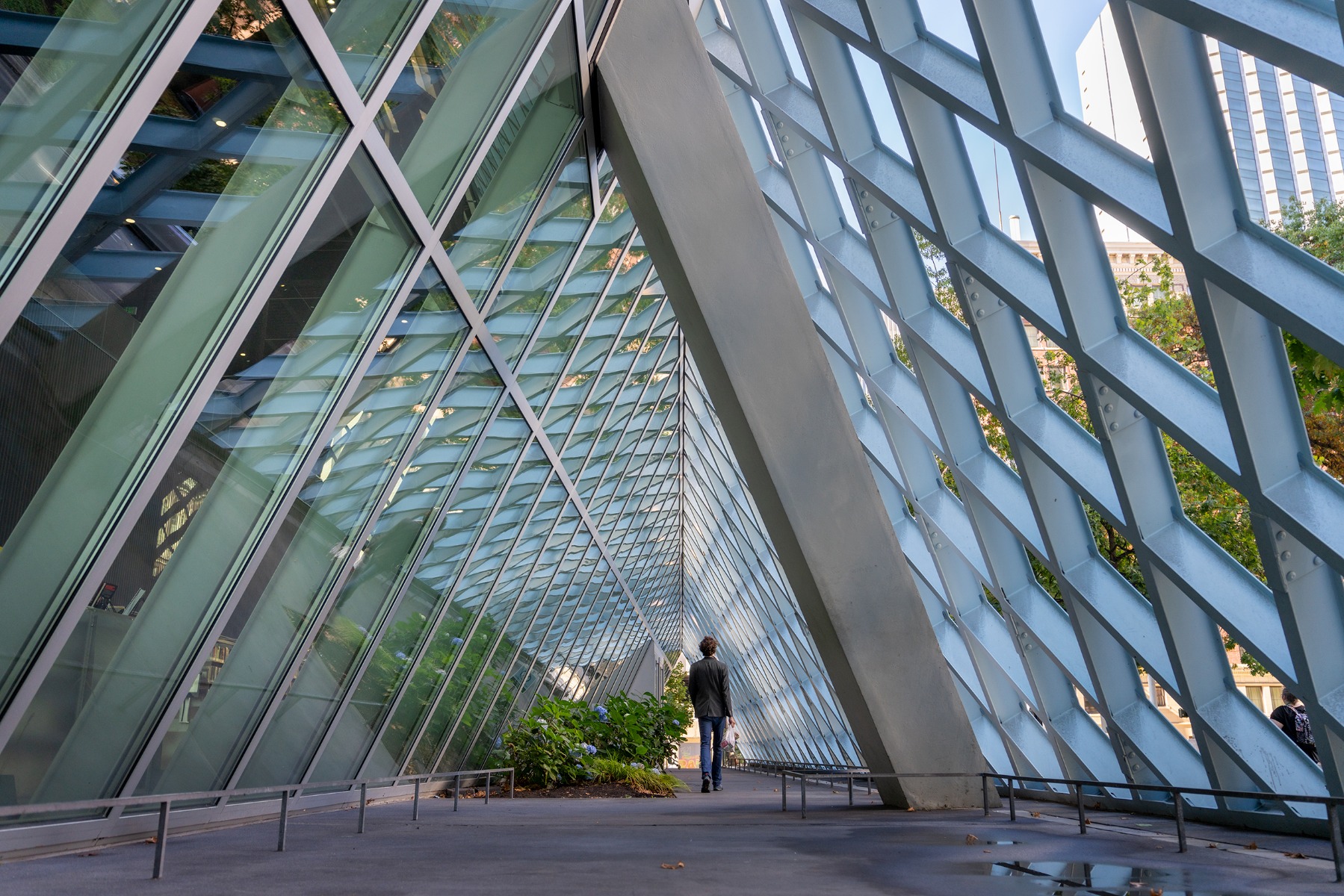 Triangular composition – shot with Tamron 28-75mm F2.8 G2 (Model A063)