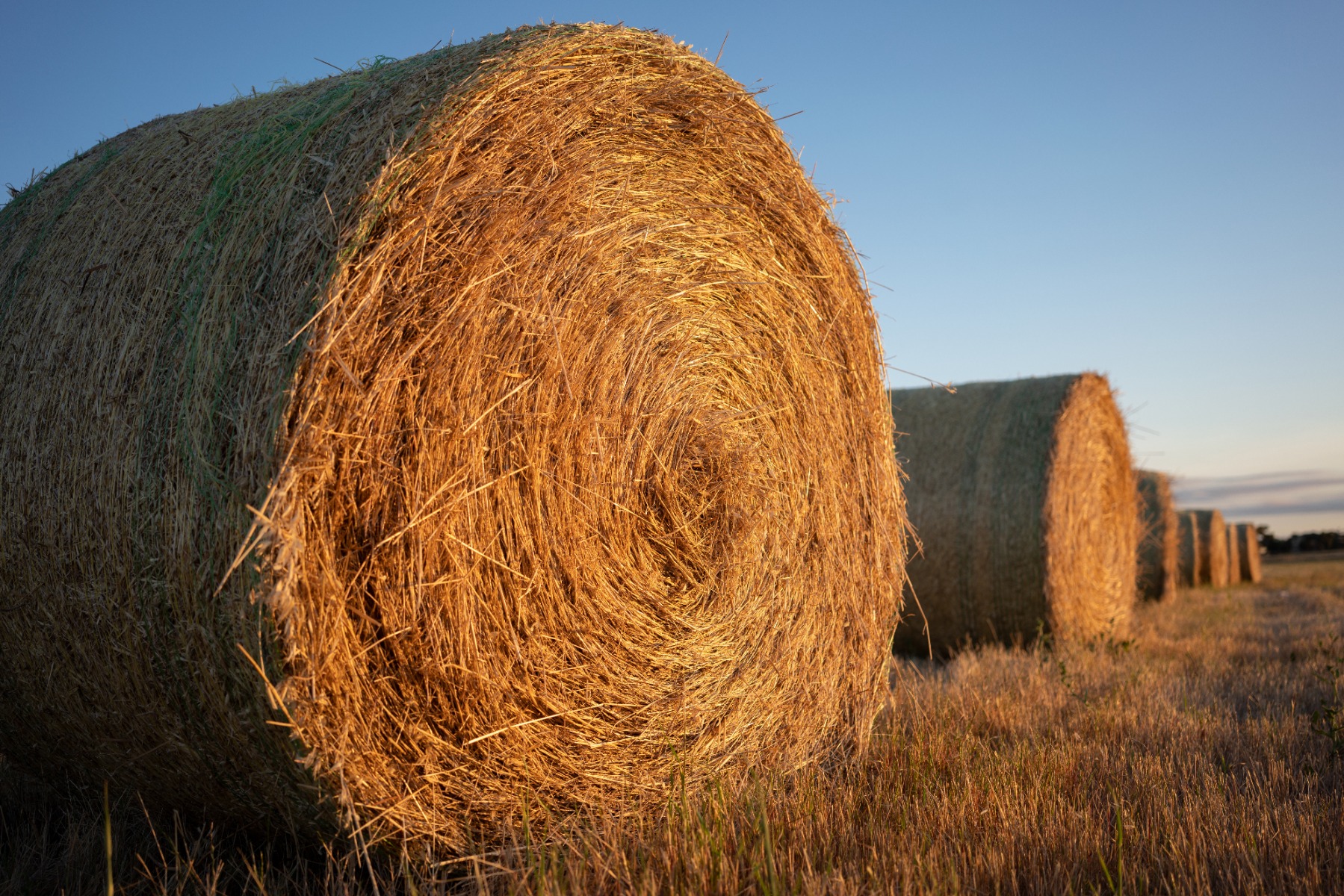Build the frame around converging lines – shot with Tamron 35mm F2.8 (Model F053)
