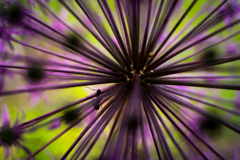 TAMRON 50-400mm F4.5-6.3 (Model A067)　Focal length：50mm　Exposure：F4.5　Shutter speed：1/2000sec　ISO：640